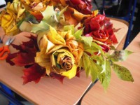 /album/fotogaleria/cf0048-jpg/